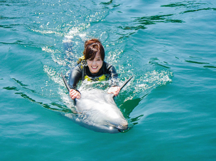 ドルフィンファームしまなみ